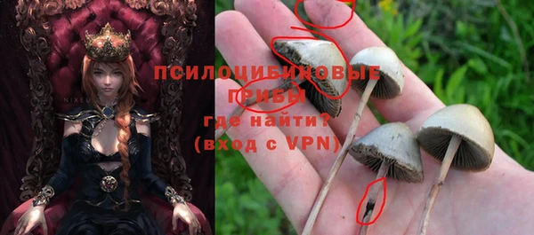 ALPHA-PVP Армянск
