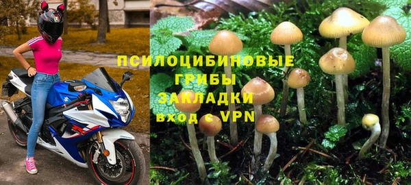 дурь Аркадак